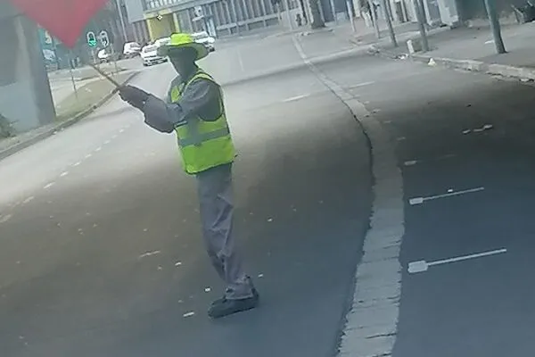 Tree logs after felling Cape Town