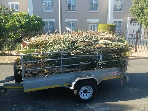 Landscaping garden design Cape Town